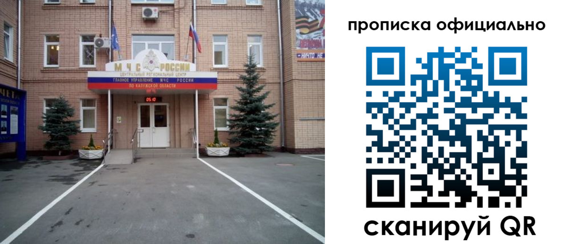 прописка для школы в Зеленоградске